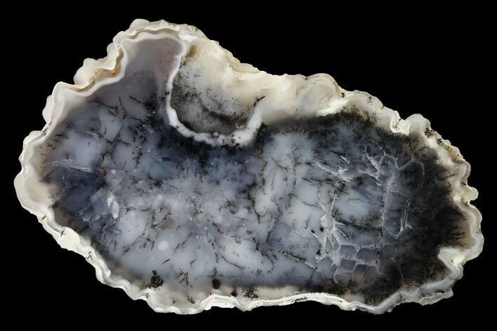 Polished Dendritic Agate Nodule Half - Uruguay #152681